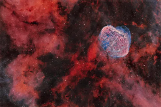 The Crescent Nebula — Sh 2-308