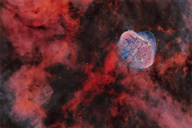 The Crescent Nebula — Sh 2-308