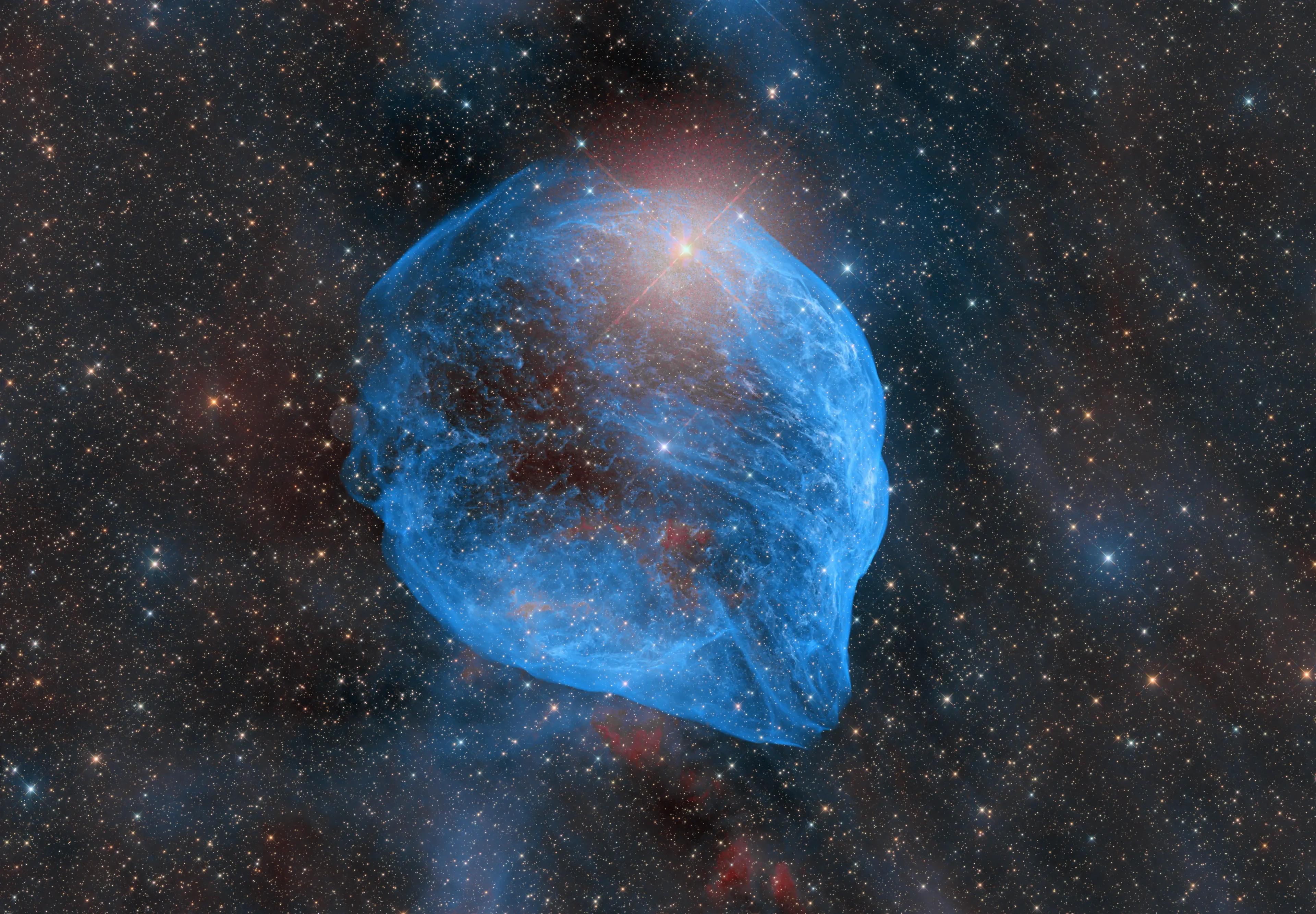 The Dolphin Nebula — Sh 2-308