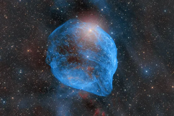 The Dolphin Nebula — Sh 2-308