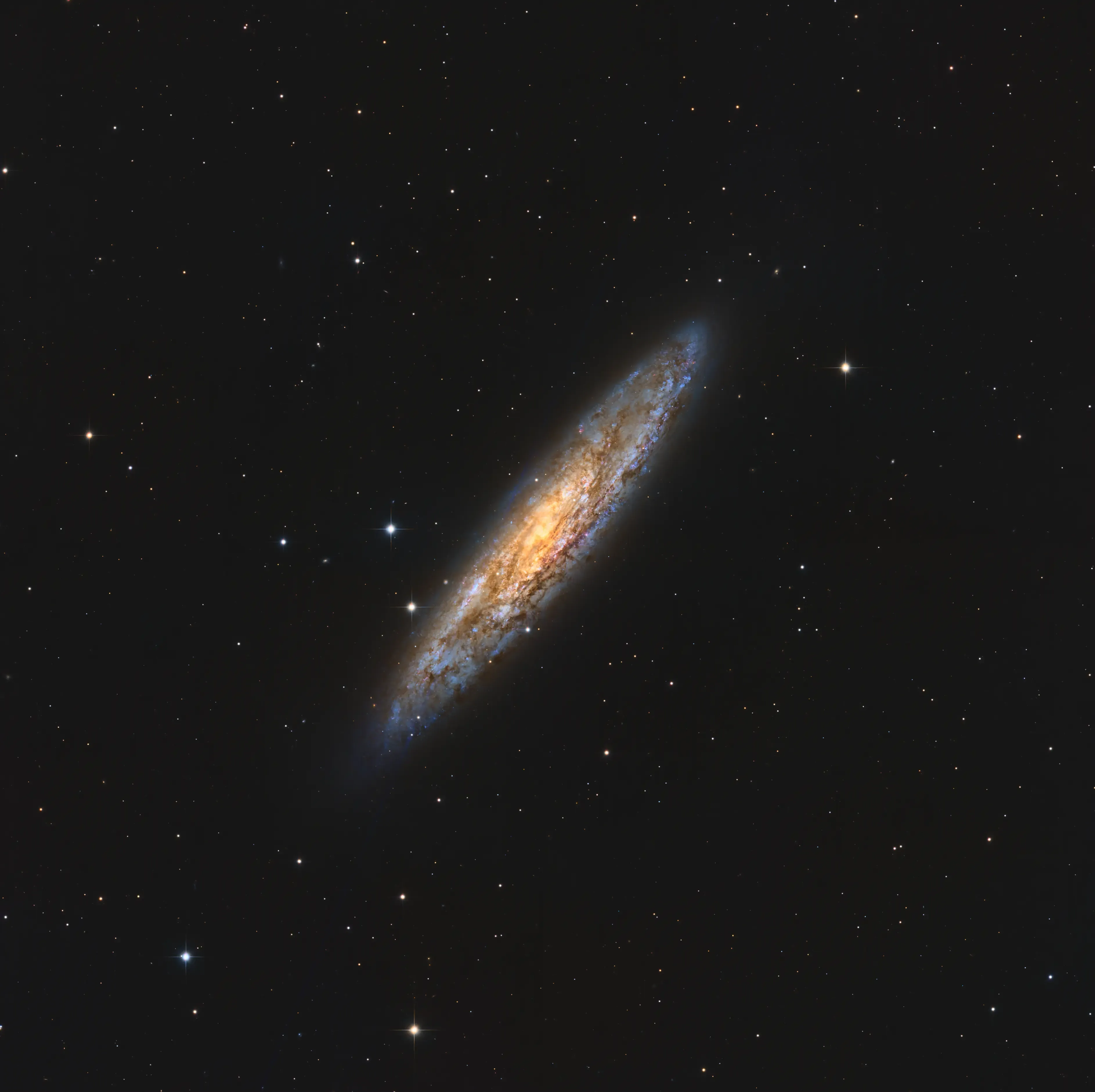 The Sculptor Galaxy — NGC 253