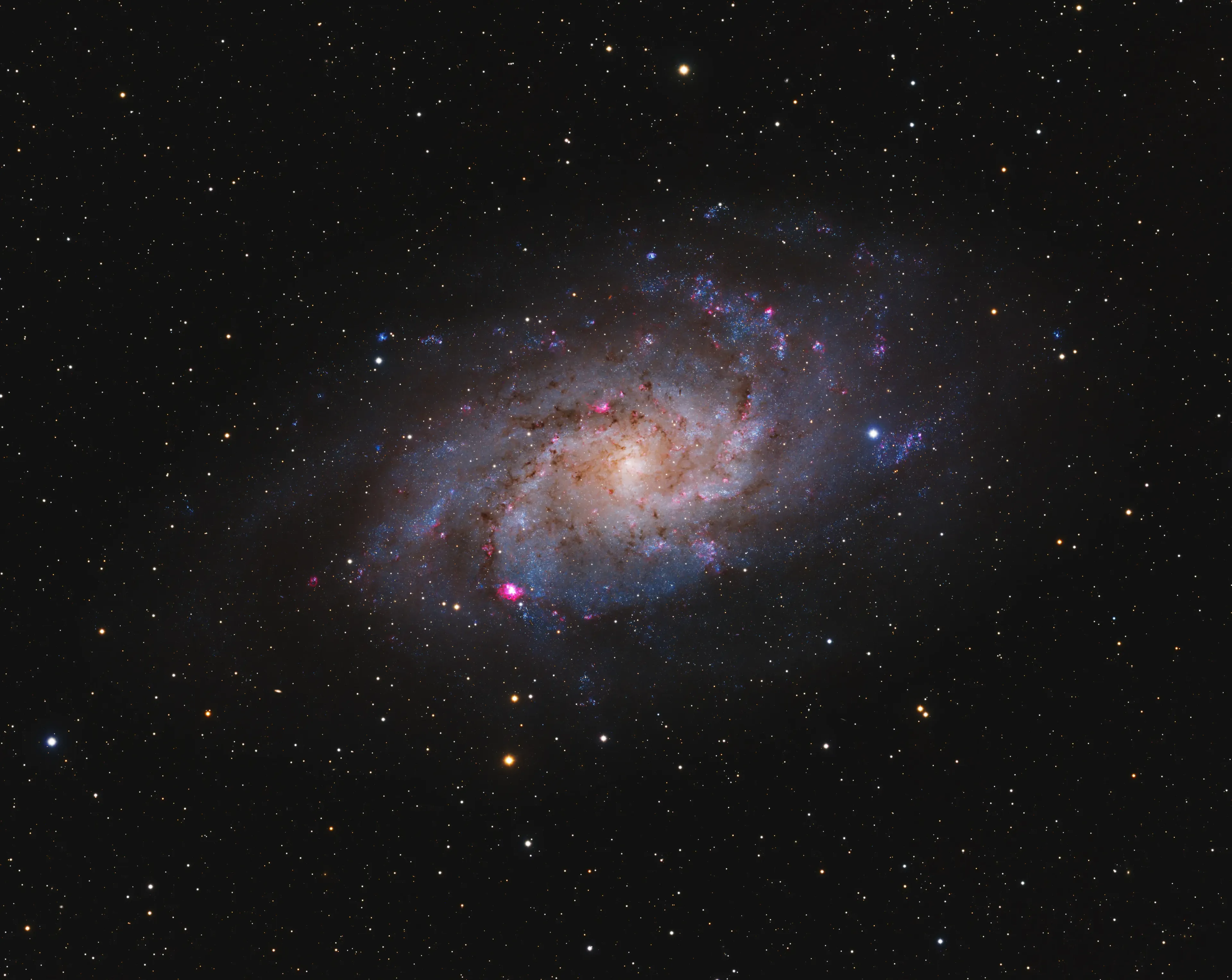 The Triangulum Galaxy — M33
